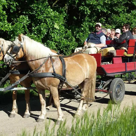 Vakantieboerderij Ferienhof *